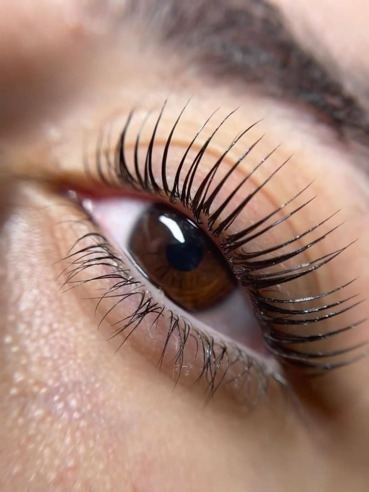 Korean Lash Lift at Atlas Beauty Haven in Brownsville, TX