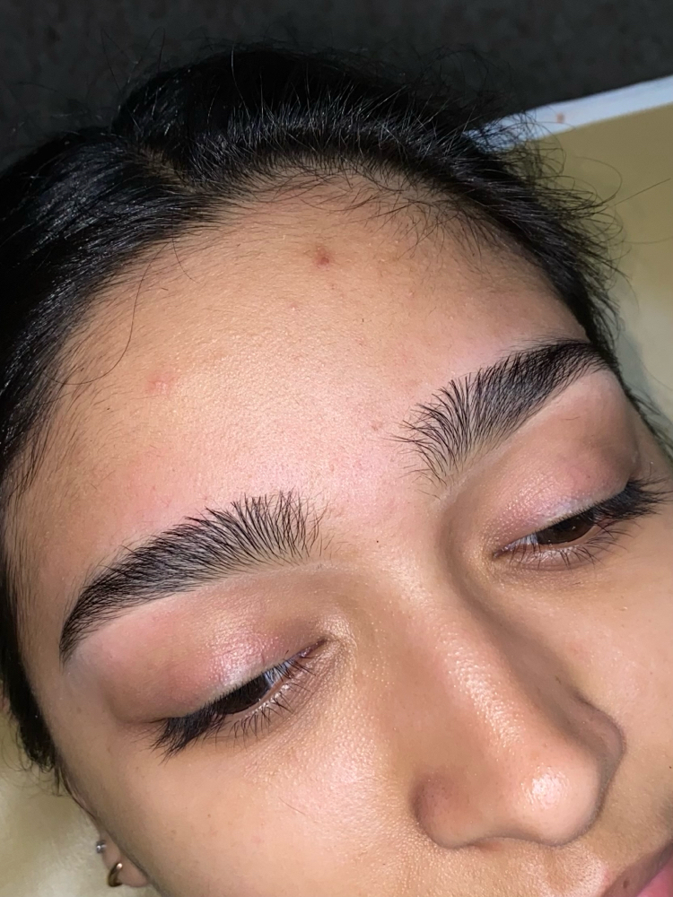 Brows / Cejas
