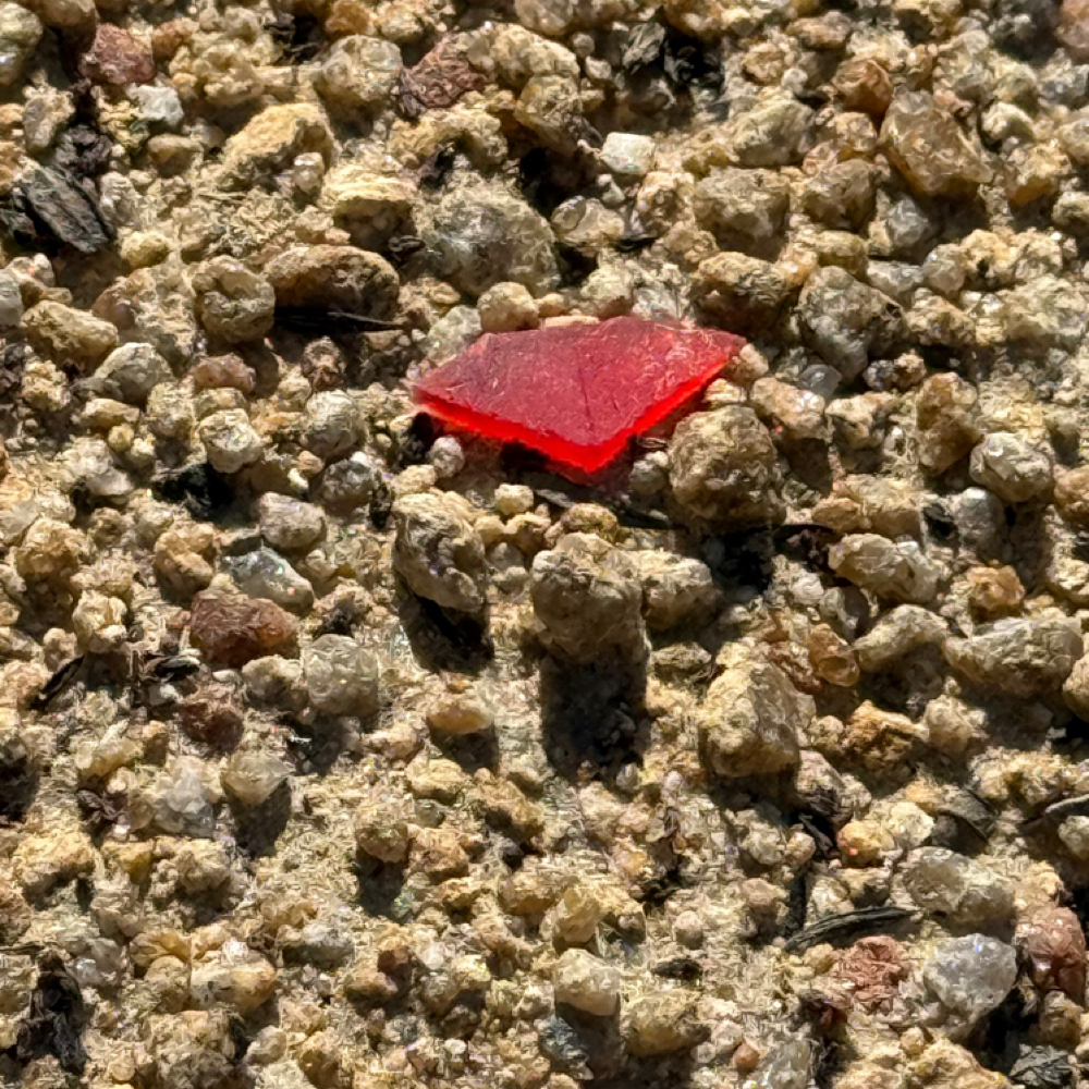 Reiki w/Sound Therapy at 7d Esthetics and Healing Arts in Temecula, CA