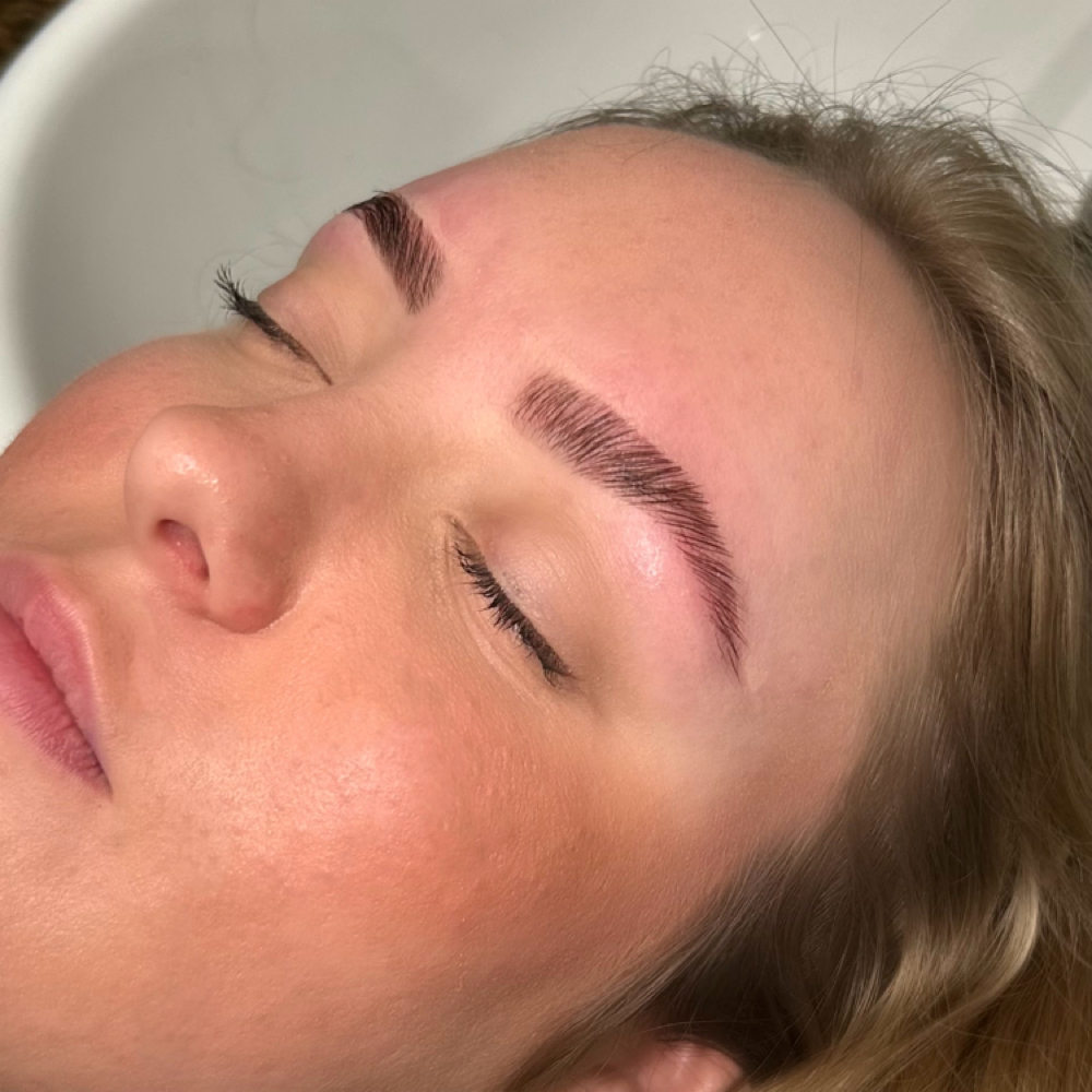 Brow Lamination + Wax at Hair By Emma Stalvey in Asheboro, NC