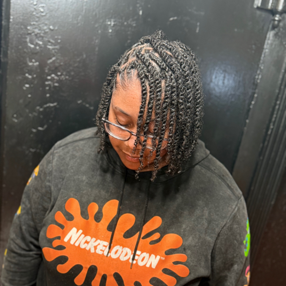 2 Strand Twists (natural hair) at Styles By EMarlow CO in Camden, AR