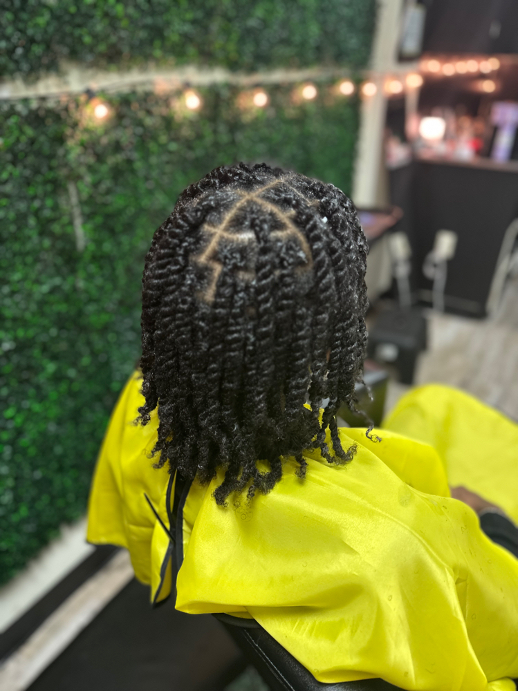 2 Strand Twists (natural hair)