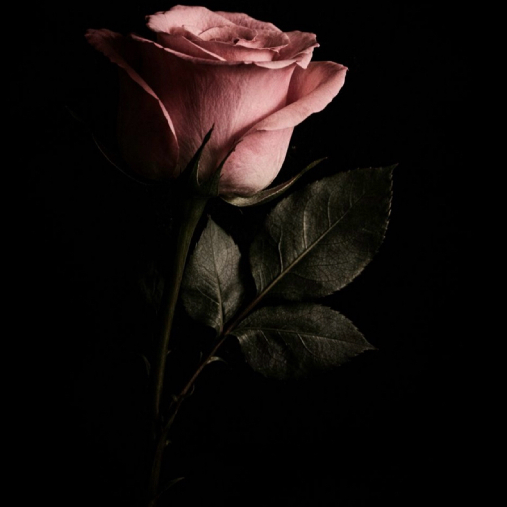 February PDRN Facial Special