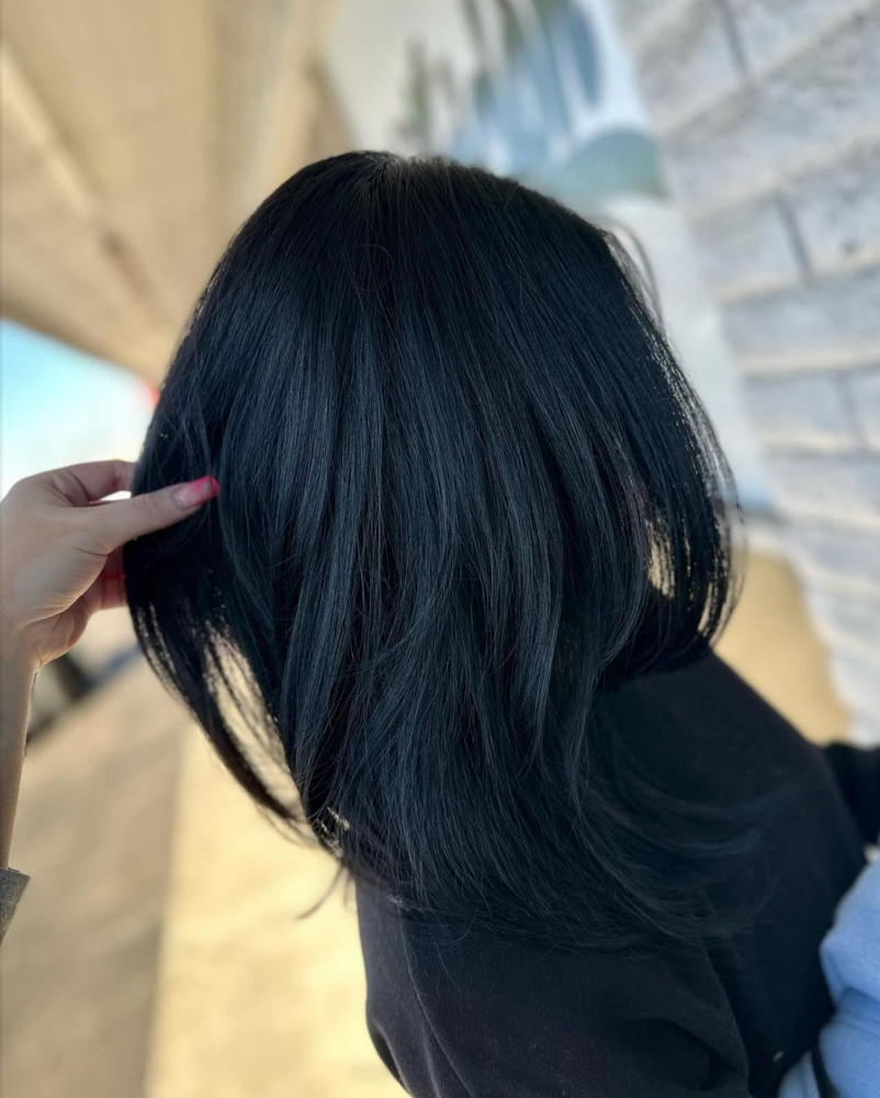 Solid Color (no Bleach) at _hairbypaola in Phoenix, AZ