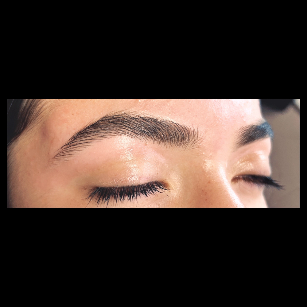 ✨FIRST TIME CLIENT✨Brow Wax🦇