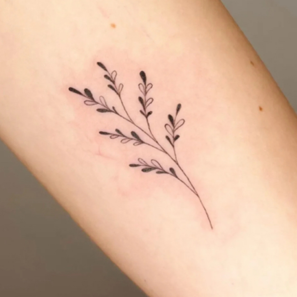 Tattoo at Skin Theory Collective in Port Richey, FL