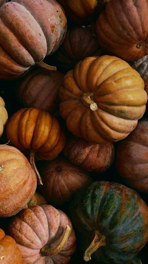 The Skinedit Fall Facial - 60 min