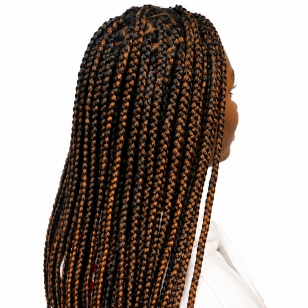 Large Box Braids+Twist at Rare & Lavish Beauty in Denver, CO