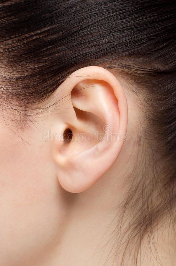 Ears at ~☆~BARE WAX BAR ~☆~ in Dallas, TX