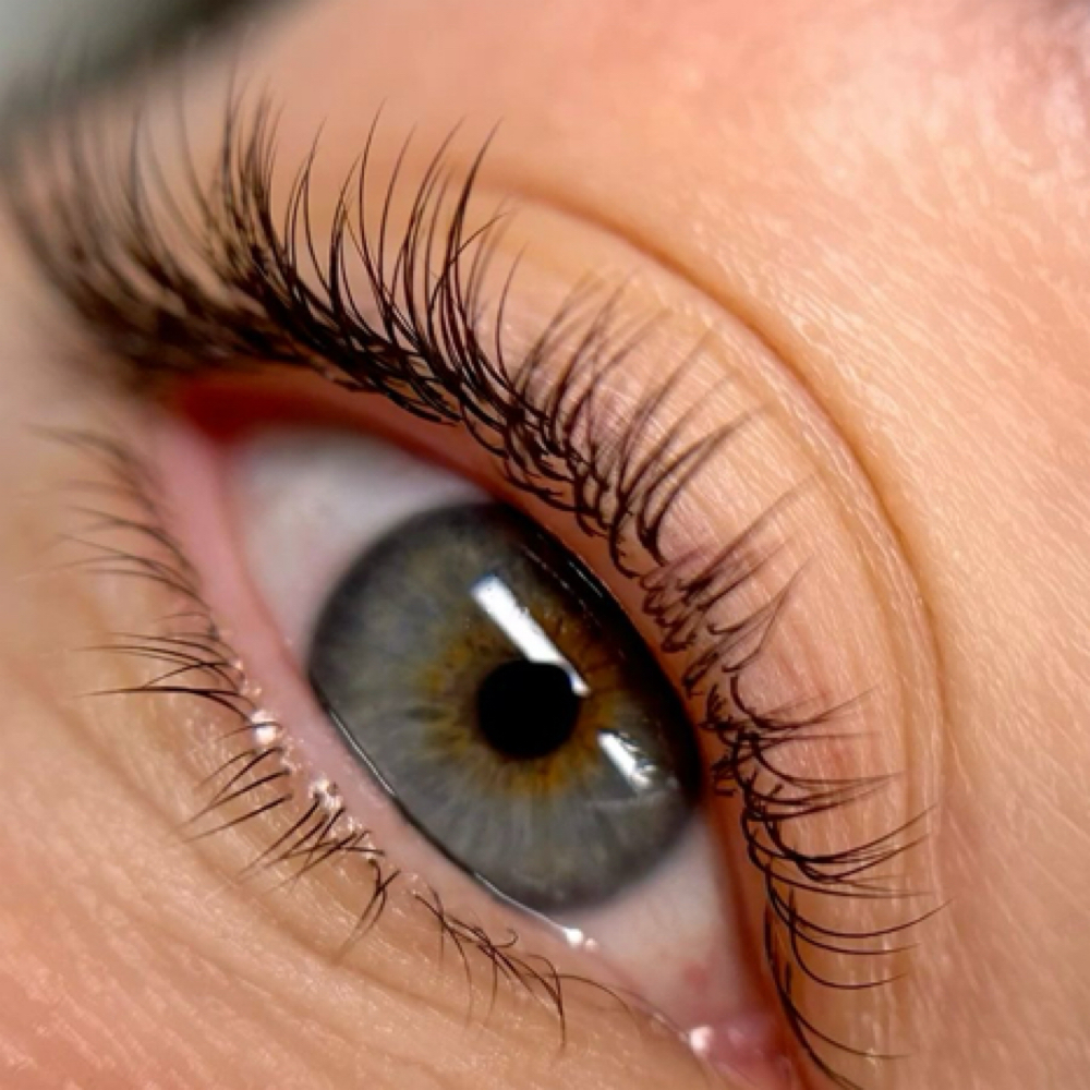 Refill Classic Set Beginner Artist at Lu Lash Salon in Fort Lauderdale, FL