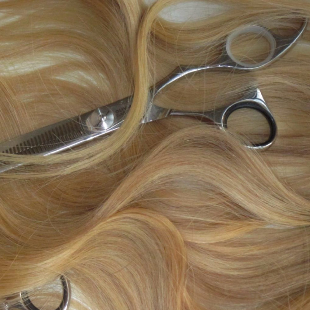 THE SHORT CUT EDIT at MANE EDIT in Morgantown, WV