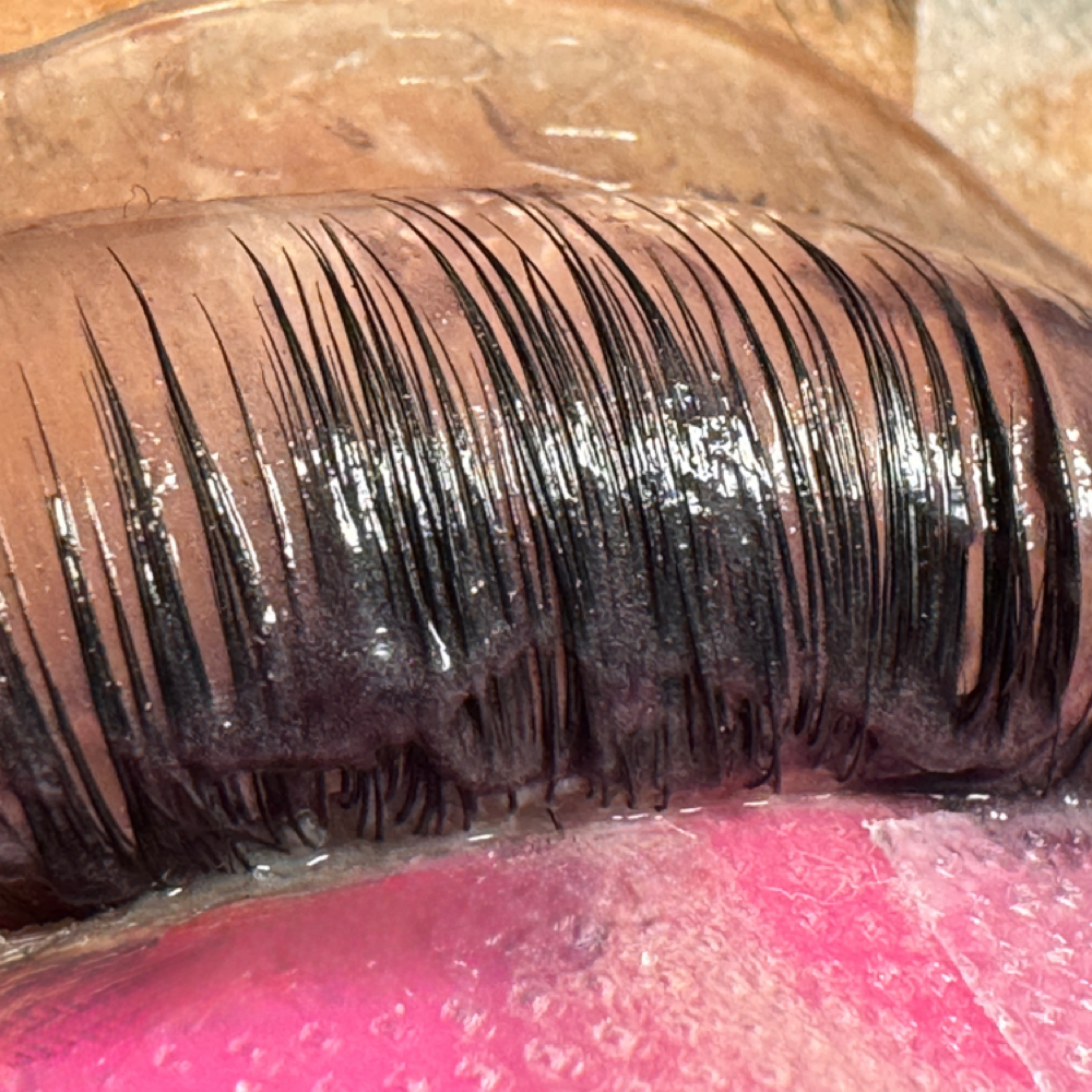 Korean lash Lift With Tint at Dream Skin by Fatima in North Las Vegas, NV