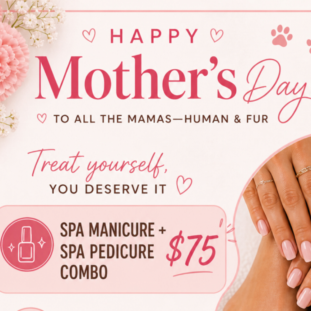 Combo Spa Mani/ Pedi at Vibe Salon in Reno, NV