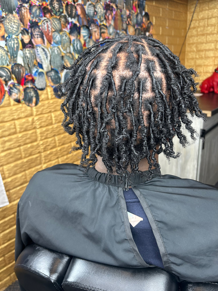 comb coil Starter locs