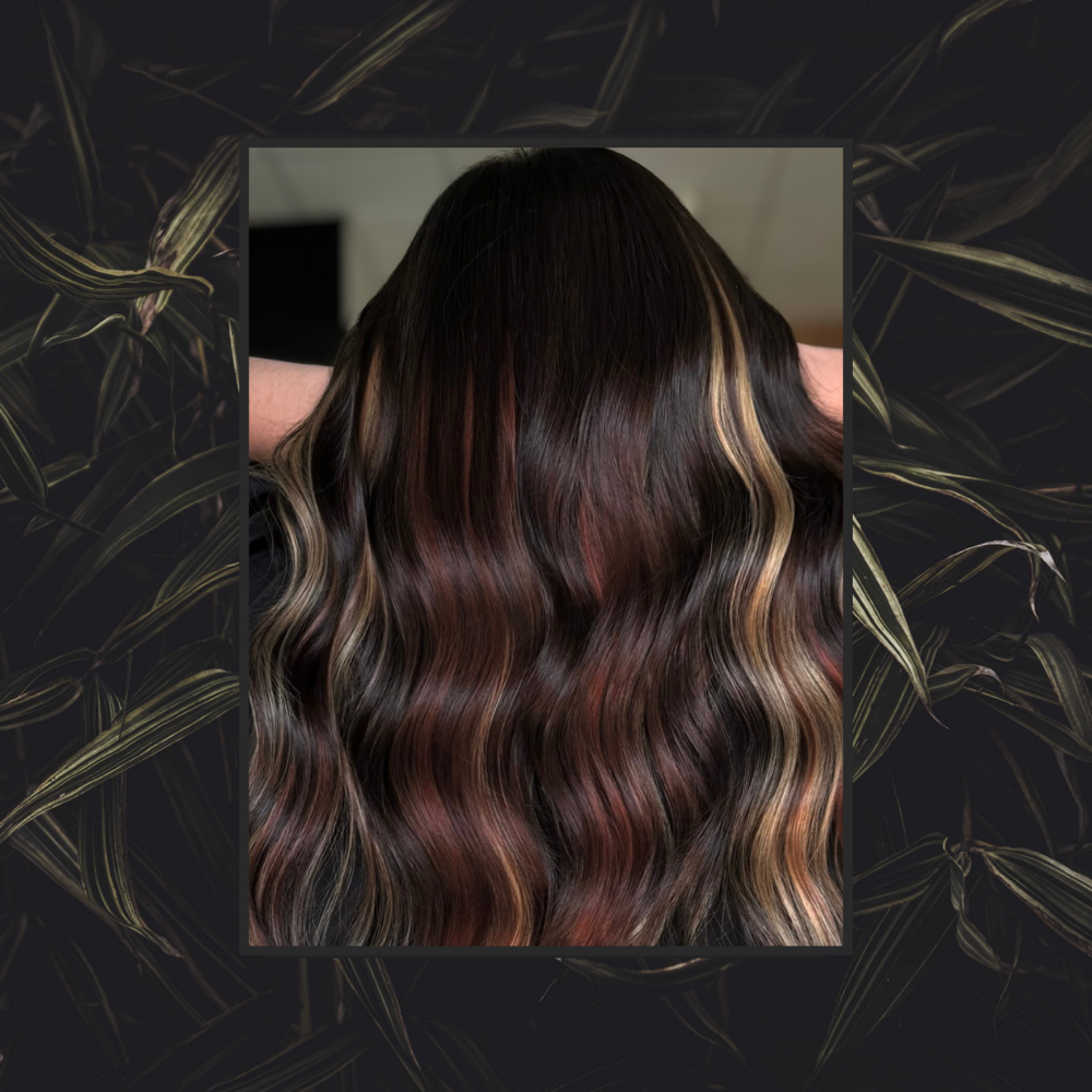 Consultation at Alchemy Hair Studio HKY in Hickory, NC