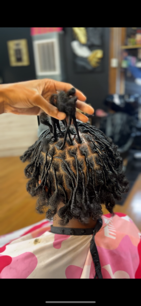 Starter Locs