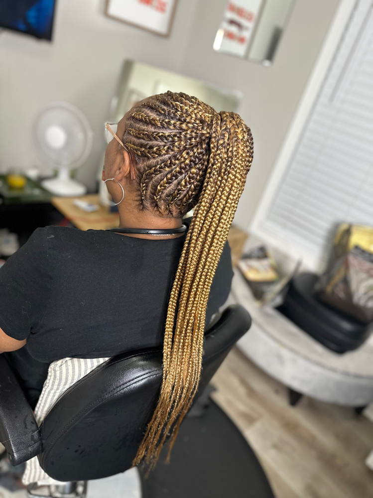 Braided Ponytail