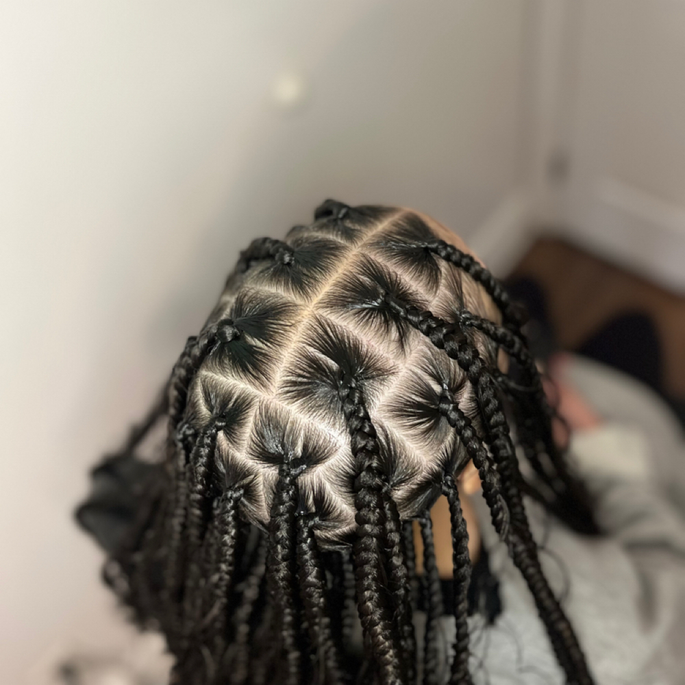 Large Knotless at The Dream Beauty Bar in Madison Heights, MI