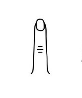 Fingers
