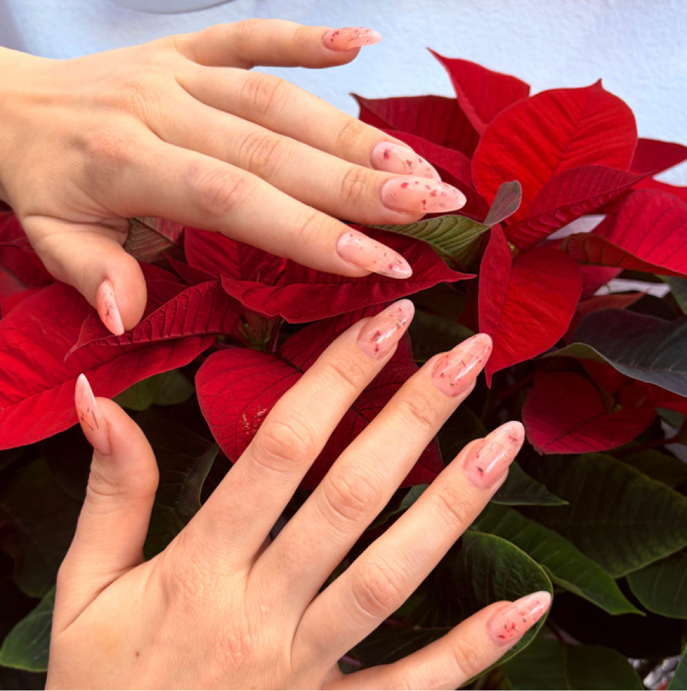 Gel-x Extensions Large at Anna Art Nail Studio LLC in San Mateo, CA