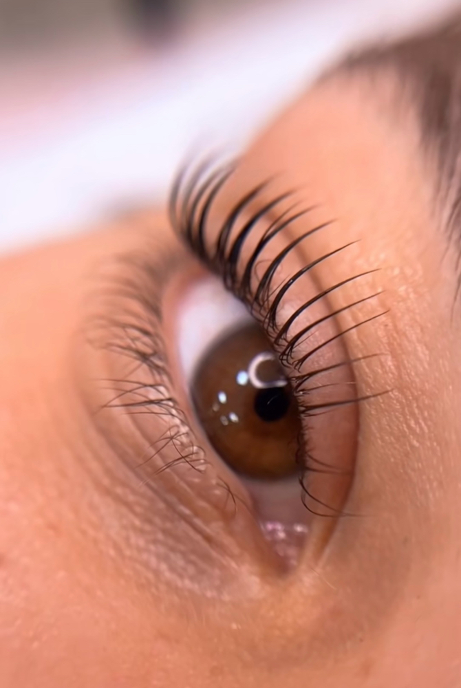 Lash Lift