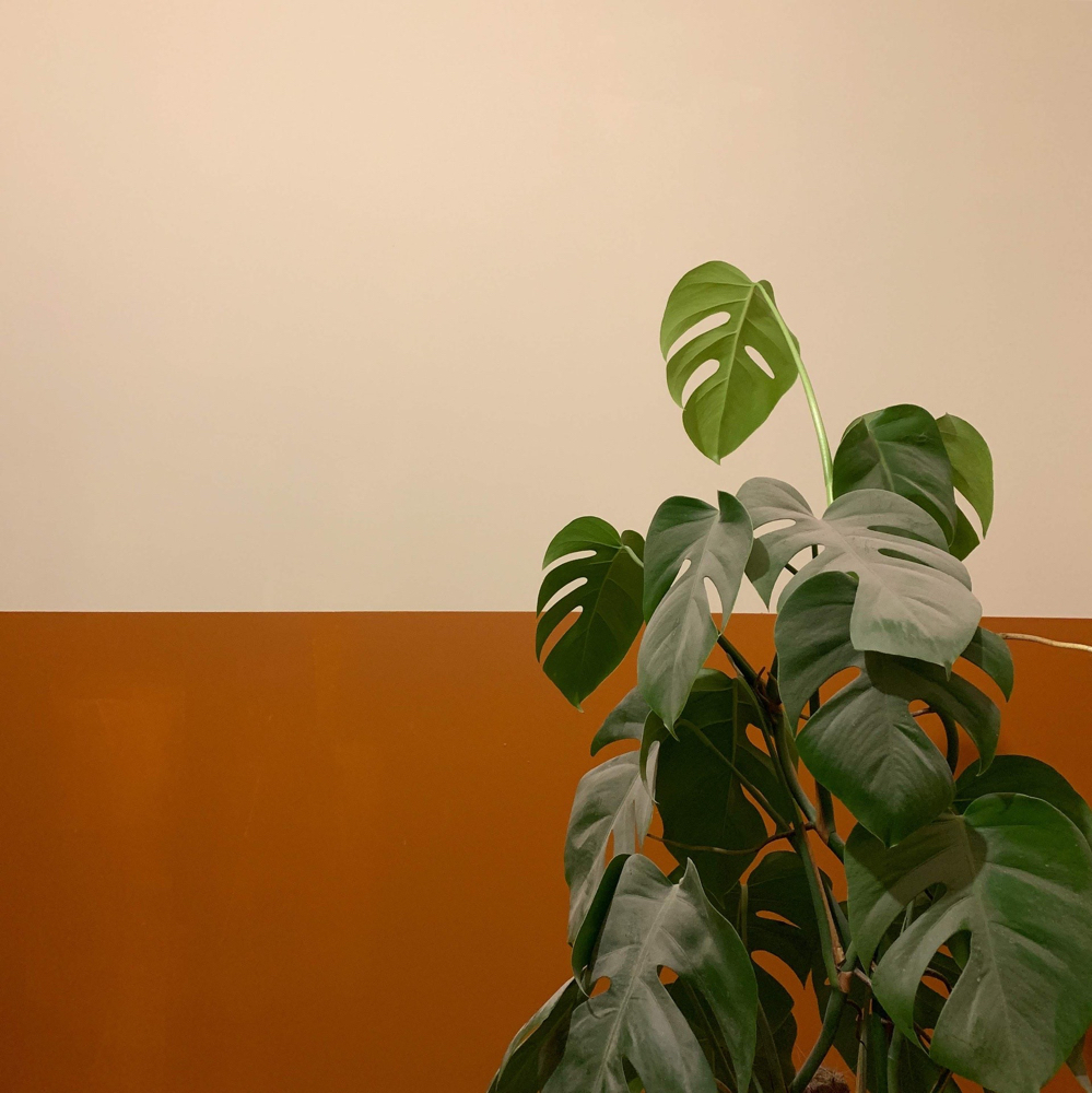 Stretch out (Complimentary Add-On) at Prickly Pear Massage in Moore, OK