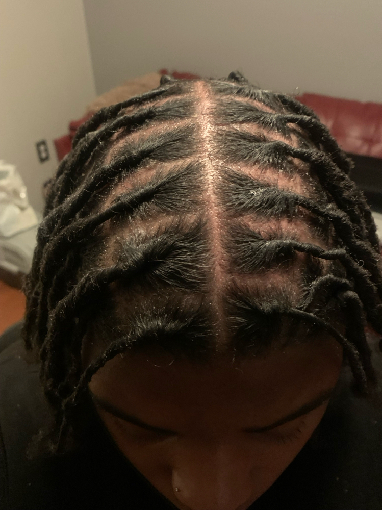 Starter Dread Loc