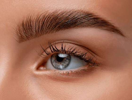 ★ brow wax + tint