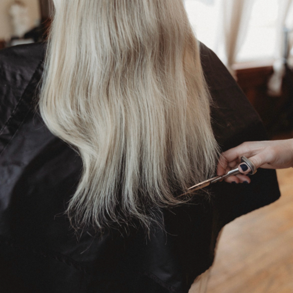 Dry Haircut & Style at Roots Hair Salon in Cortland, NY