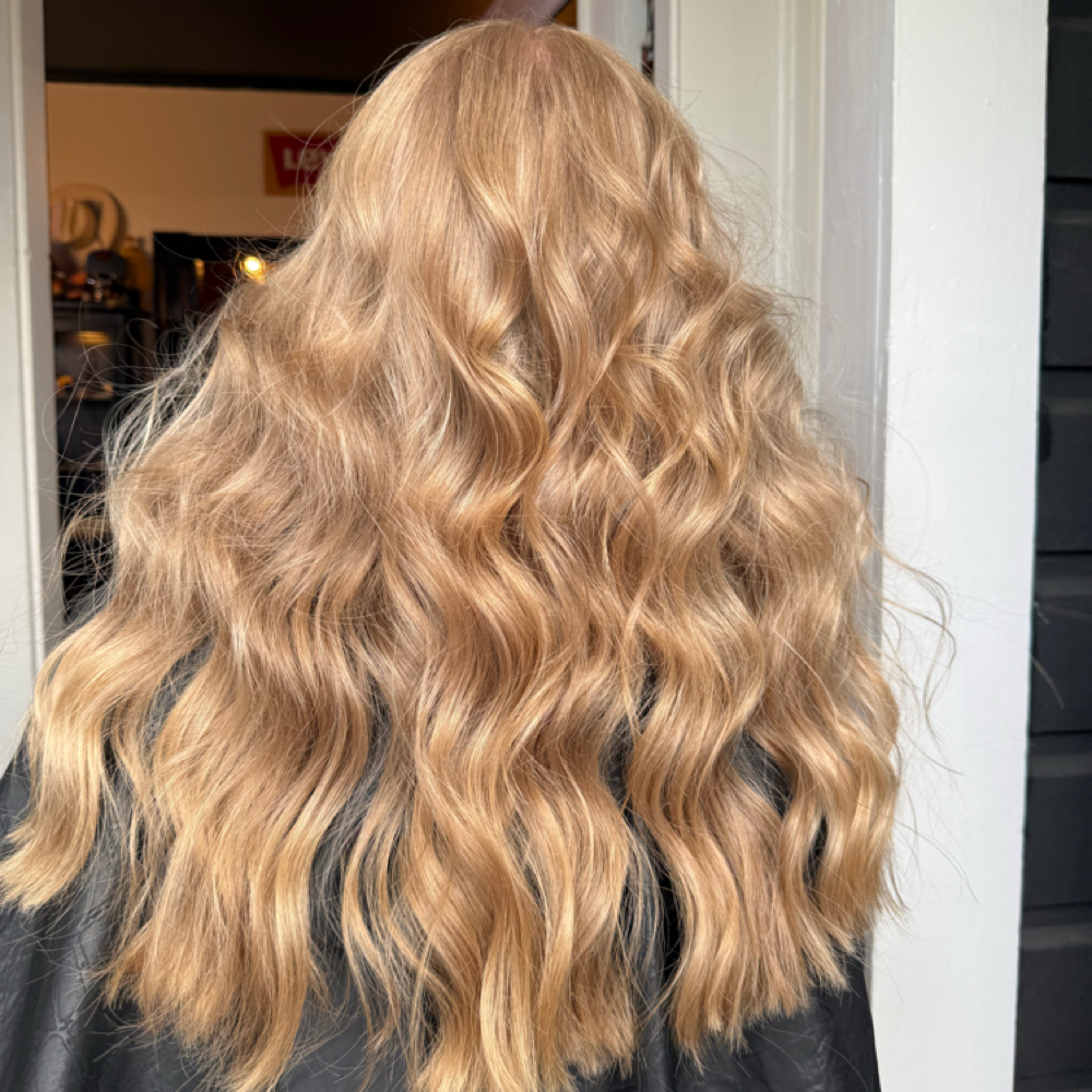Full Highlight & Cut at Daph Does Hair in Gardnerville, NV