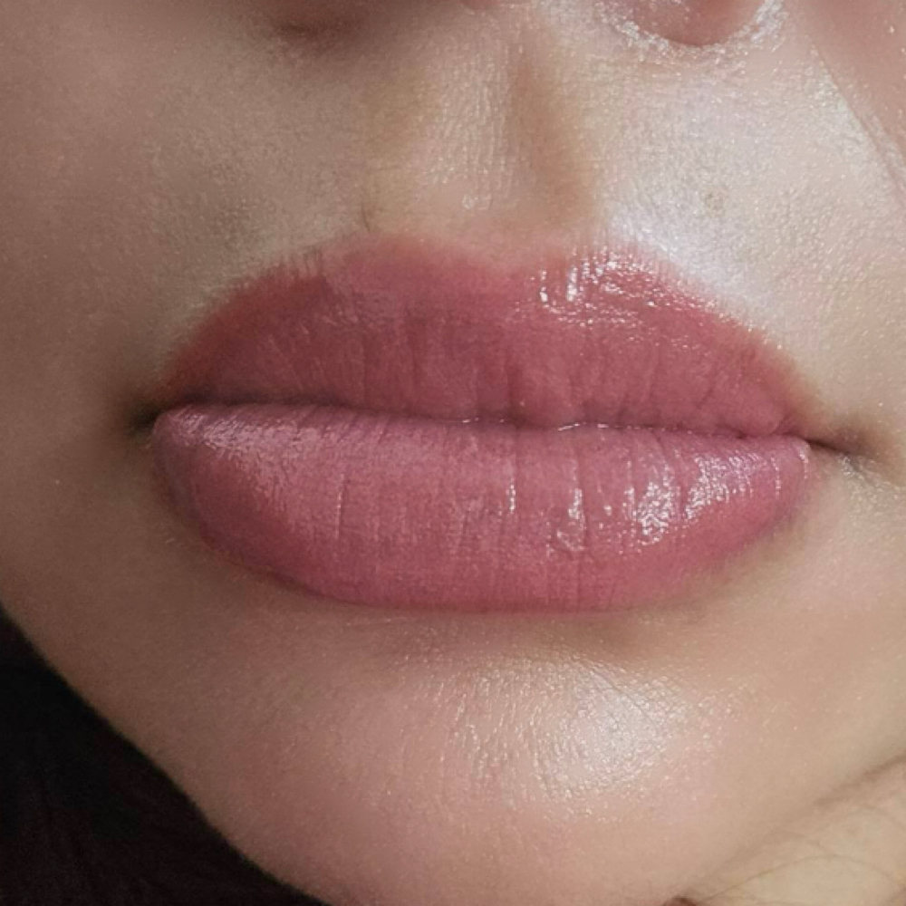 Lip Blush Touch up (1 yr) at Captivating Esthetics in Homestead, FL
