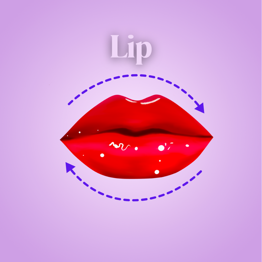 Lip