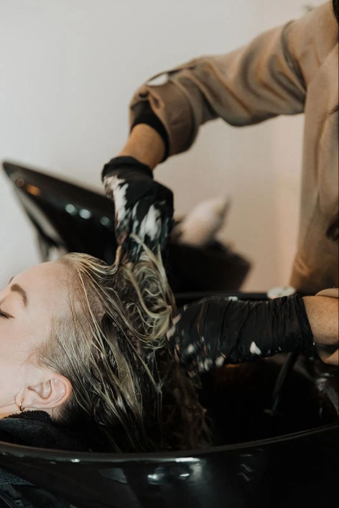 Shampoo And Style