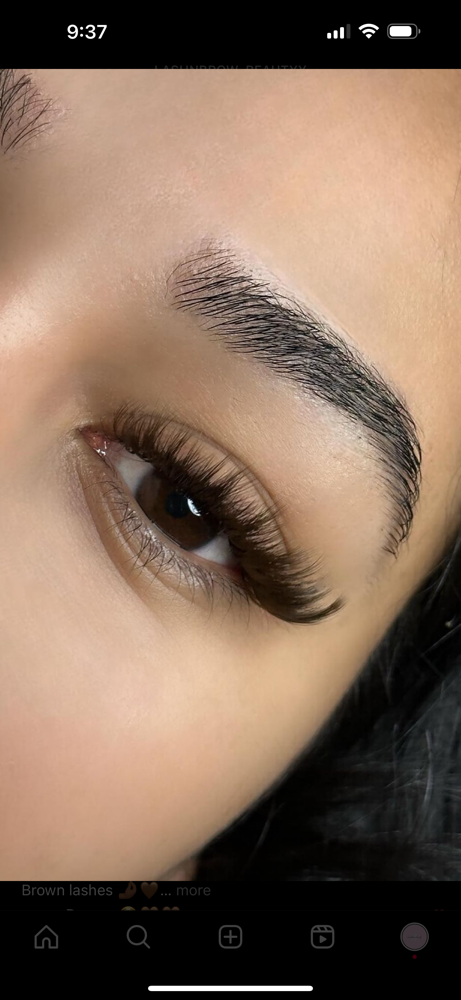 Brown Lashes