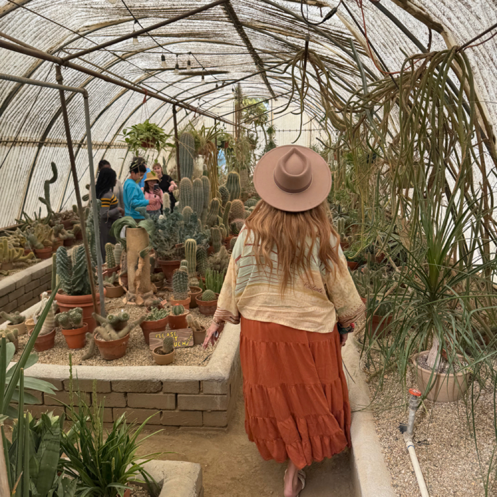 Cutie heads Hair Deposit at Indigo Salon @ Beaumont in Lexington, KY