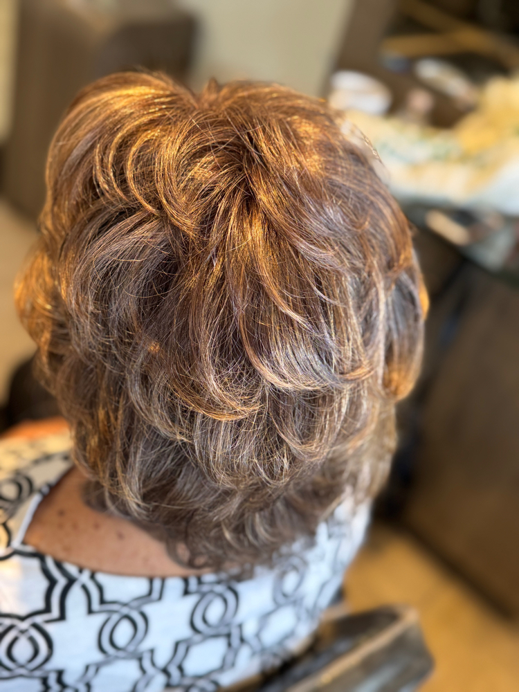 Full Head Of Lowlights