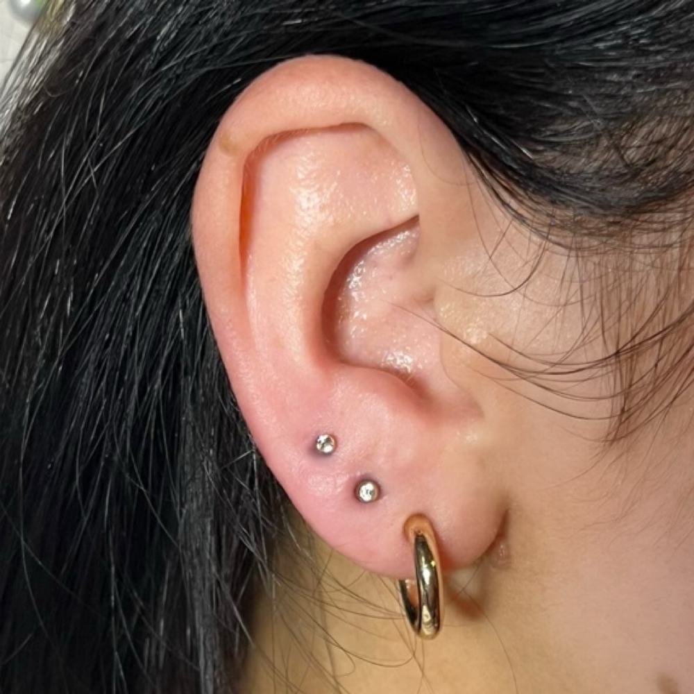 Piercing: Ear Lobes at NJC Salon in Wilmington, OH