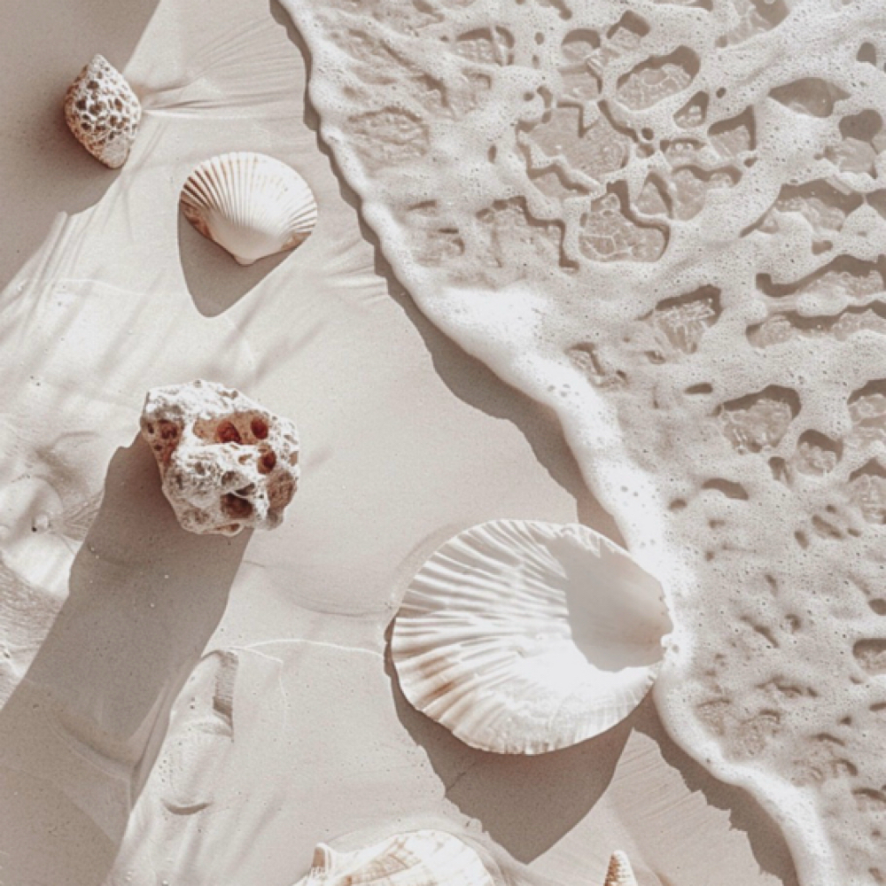 Coastal Transformation at Salon Canvas & Social in South Pasadena, FL