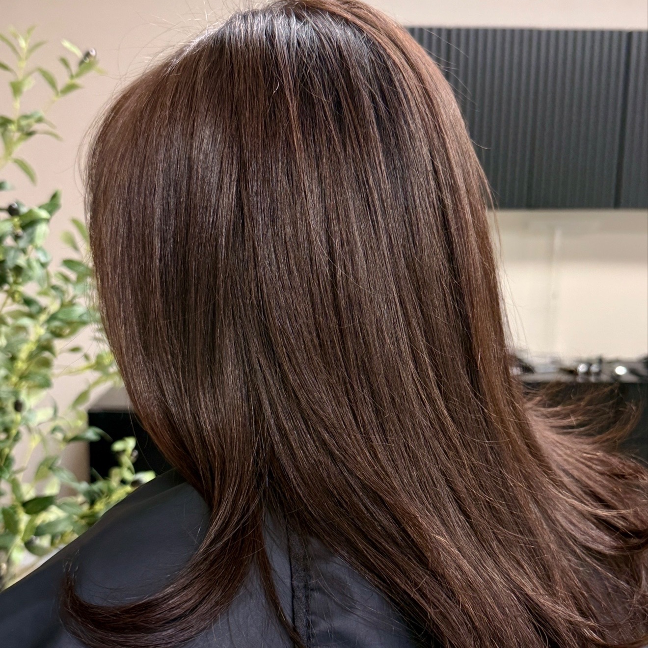 Color/Grey Coverage at Glossed by Veronica in Westlake Village, CA