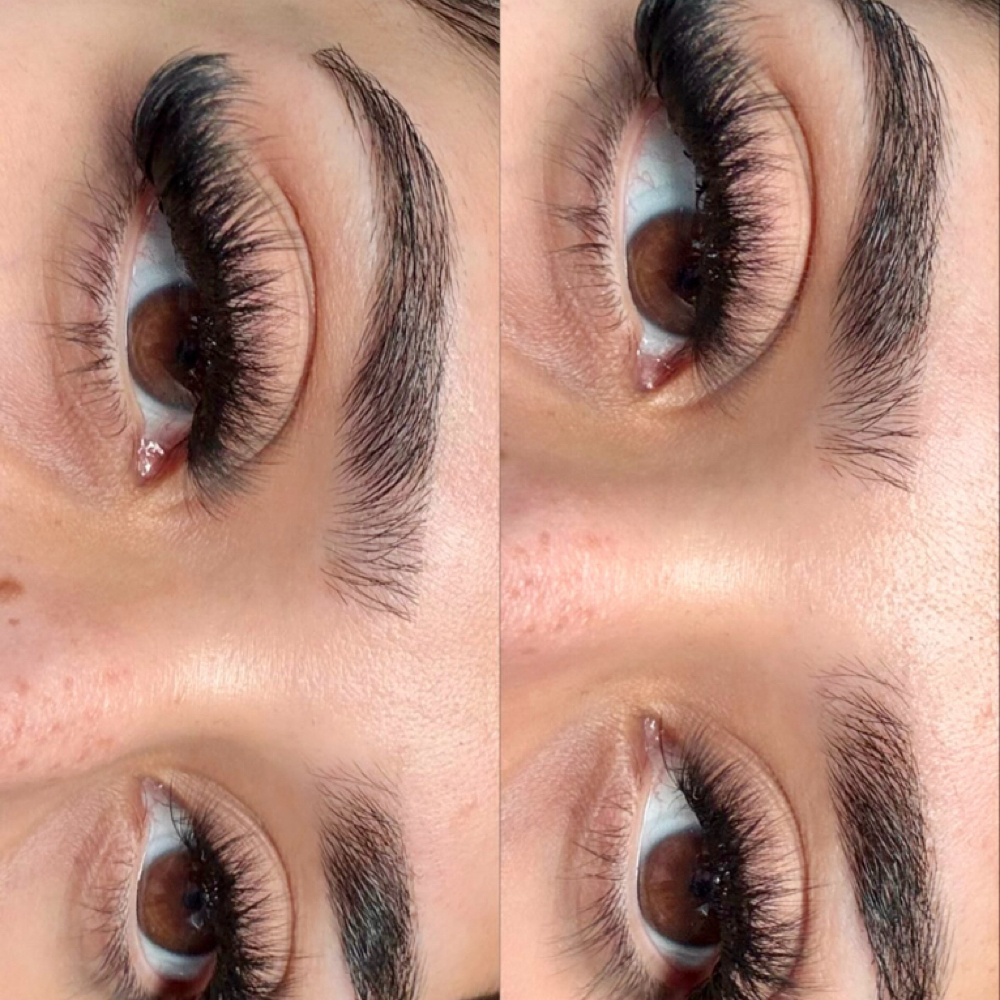 Any Lashes & Brow Tint September at D’luxe esthetics in Orange Cit, FL