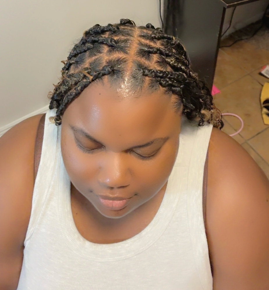 Small/smedium Box Braids
