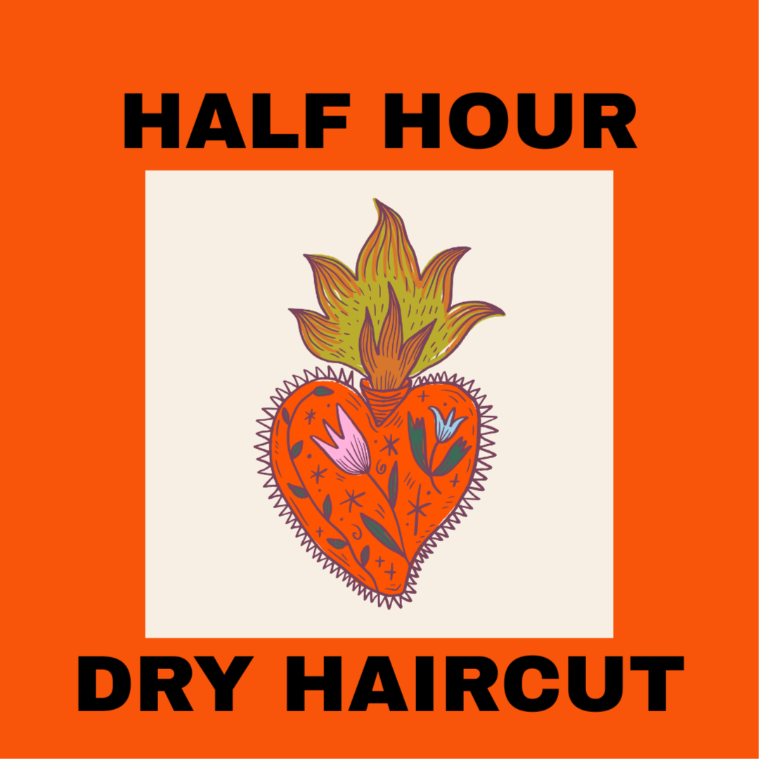 Half Hour Dry Cut at ACE Collective Salon+Wellness in Pittsburgh, PA
