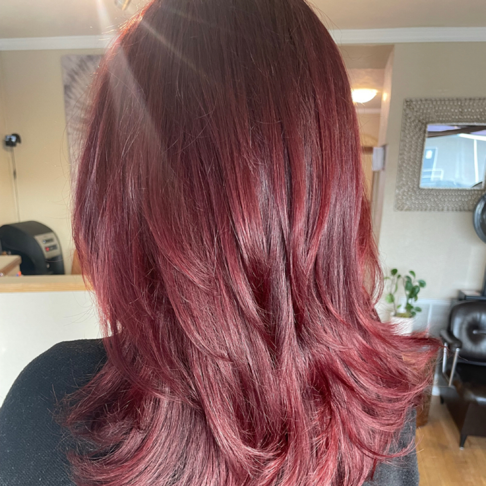 BRUNETTES AND REDS at Hair By Nichole in Spokane, WA
