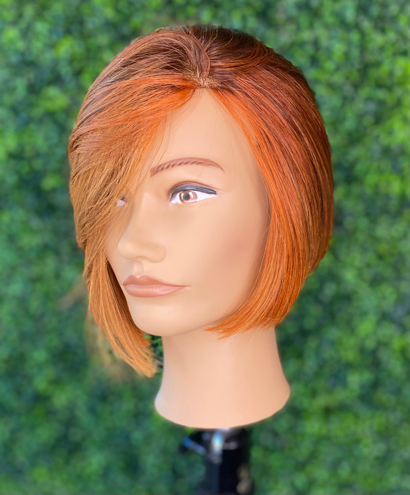 Custom Hair Color — Extensions/Wigs