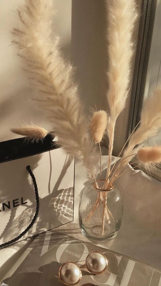 TeddyBear Two Week Fill (8-15 days)