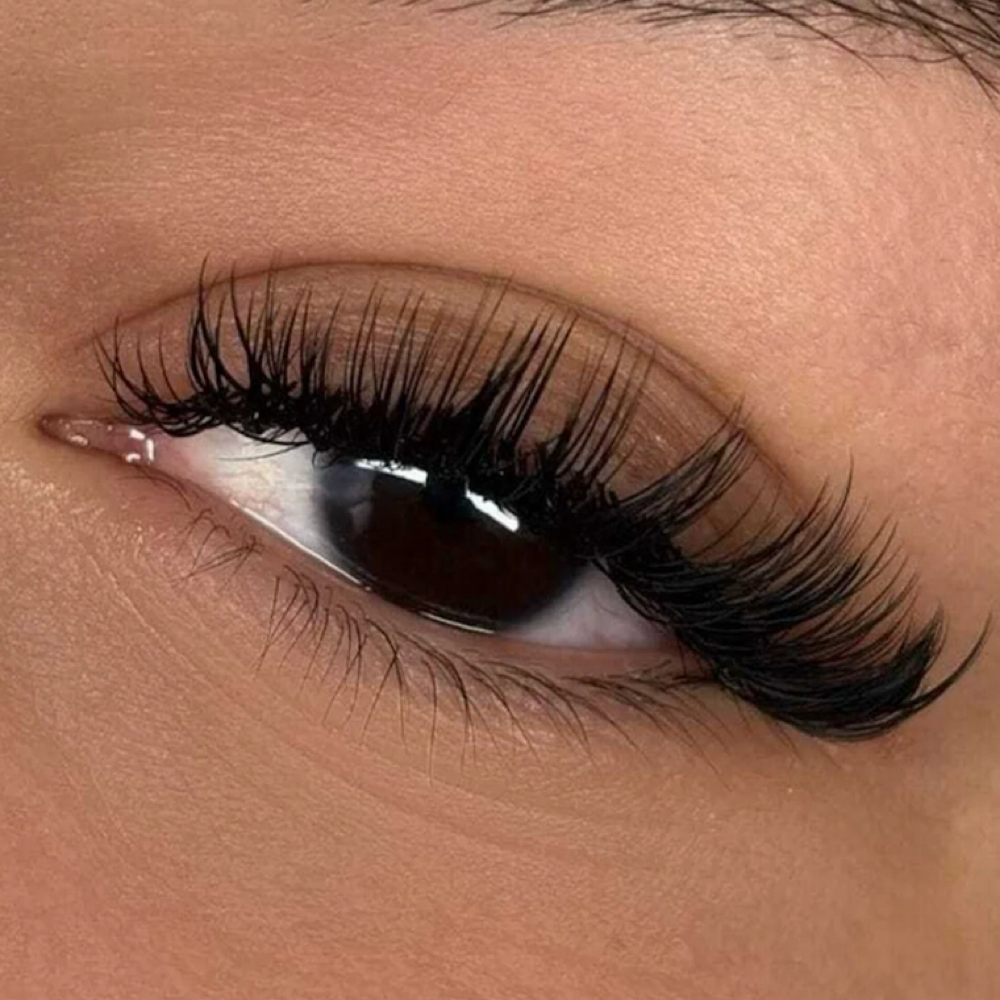 Lash Fill at Lash Edit in Spring Hill, FL