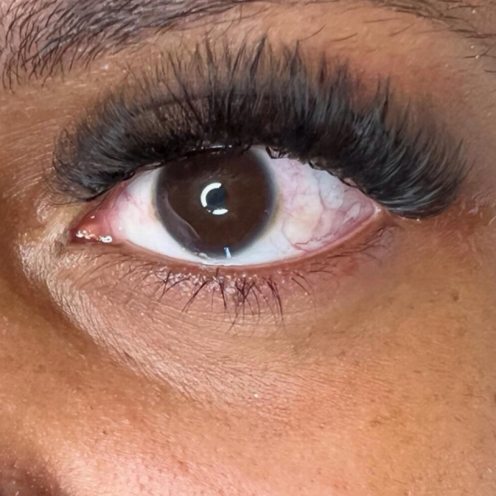 Refill- Mega Volume Lashes at The Skin Room Aesthetic and Wellness  LLC in Longview, TX