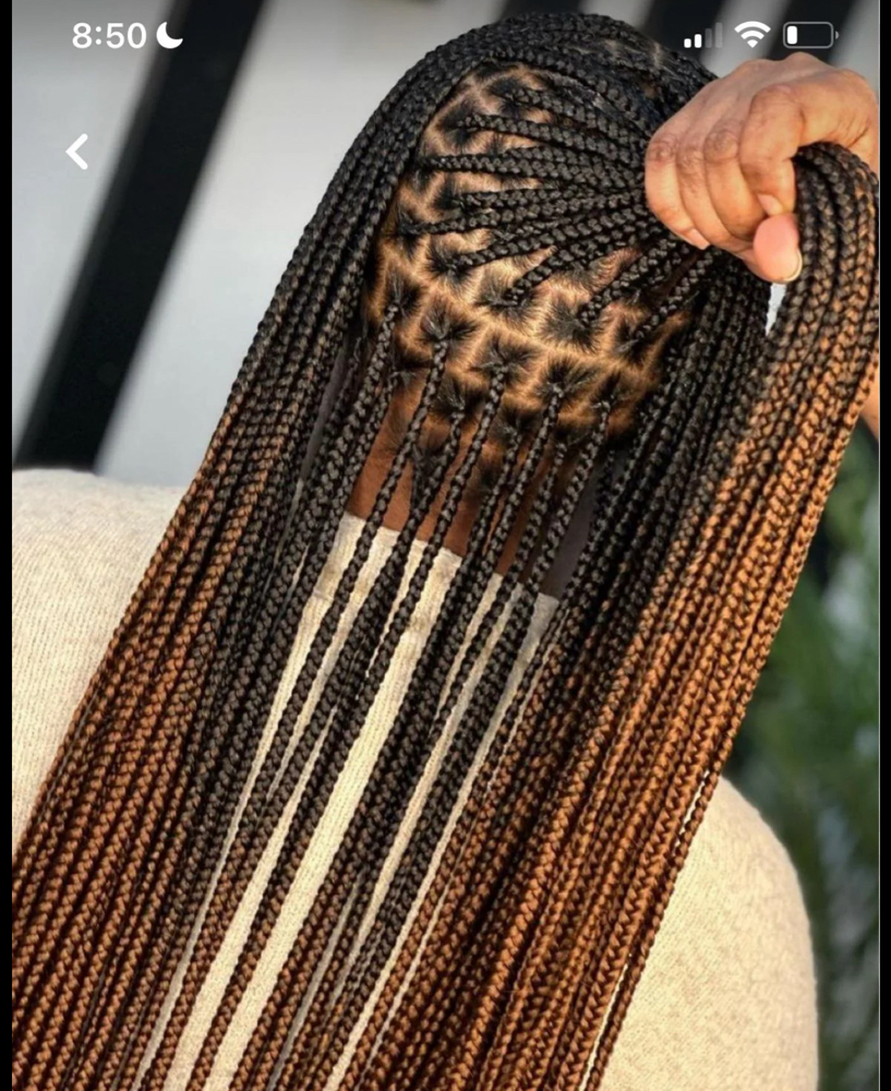 Small Knotless (hair Supplied)