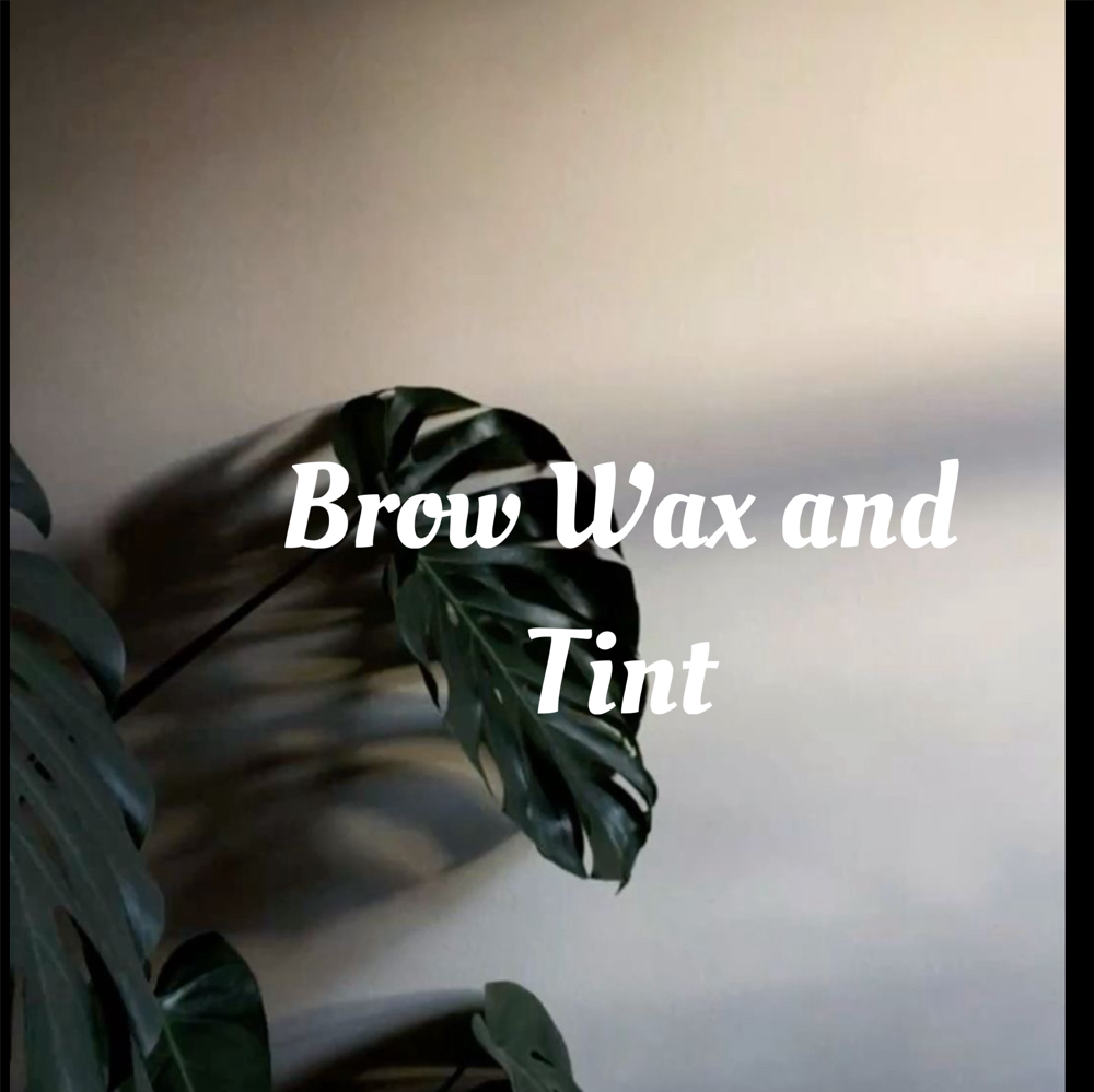 Brow Wax And Tint