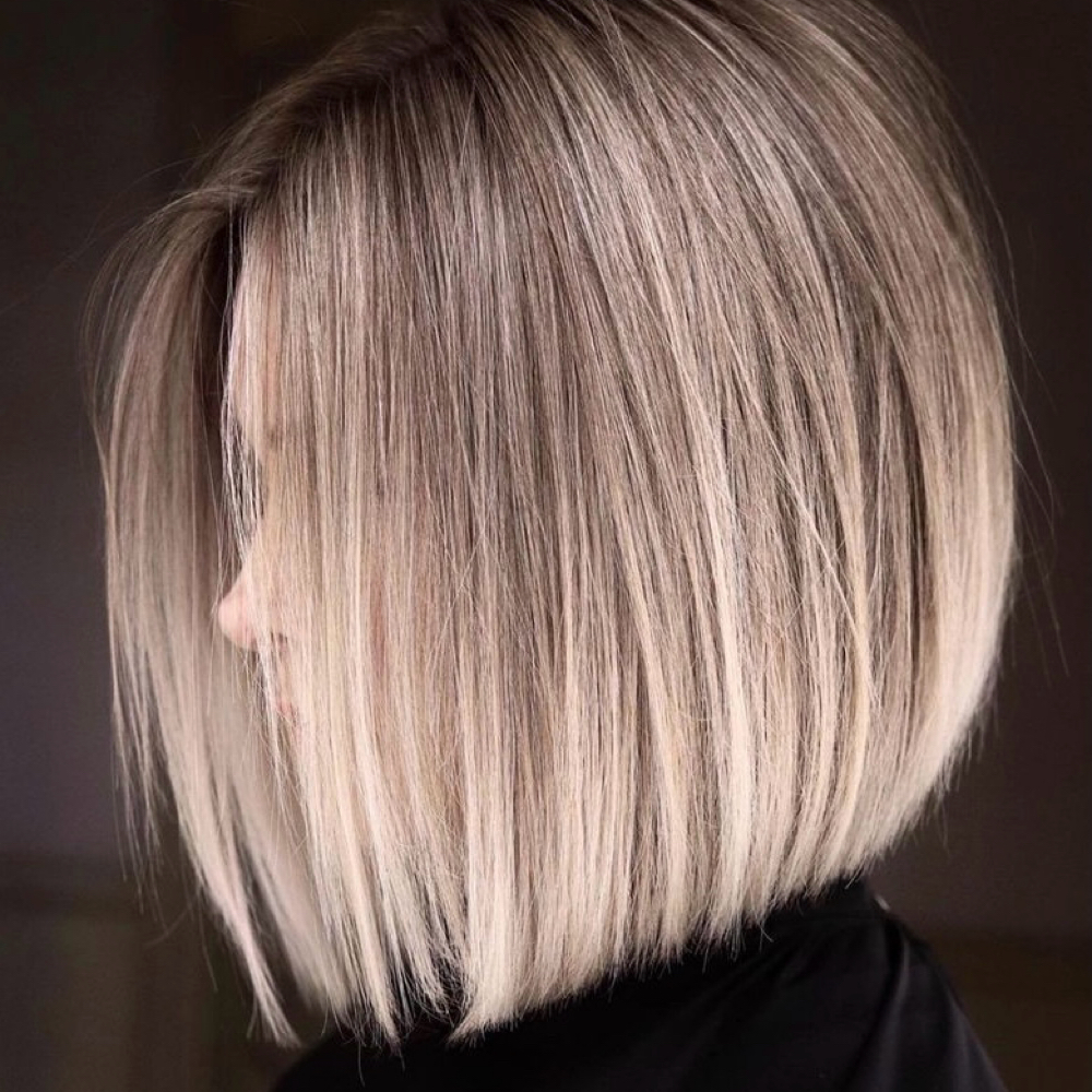 Wet/Dry cut at Bellers Salon & Spa in Fort Myers, FL